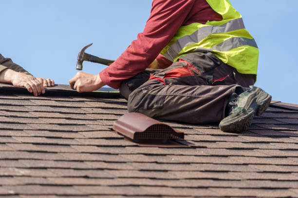 Best Roof Gutter Cleaning  in St Gabriel, LA